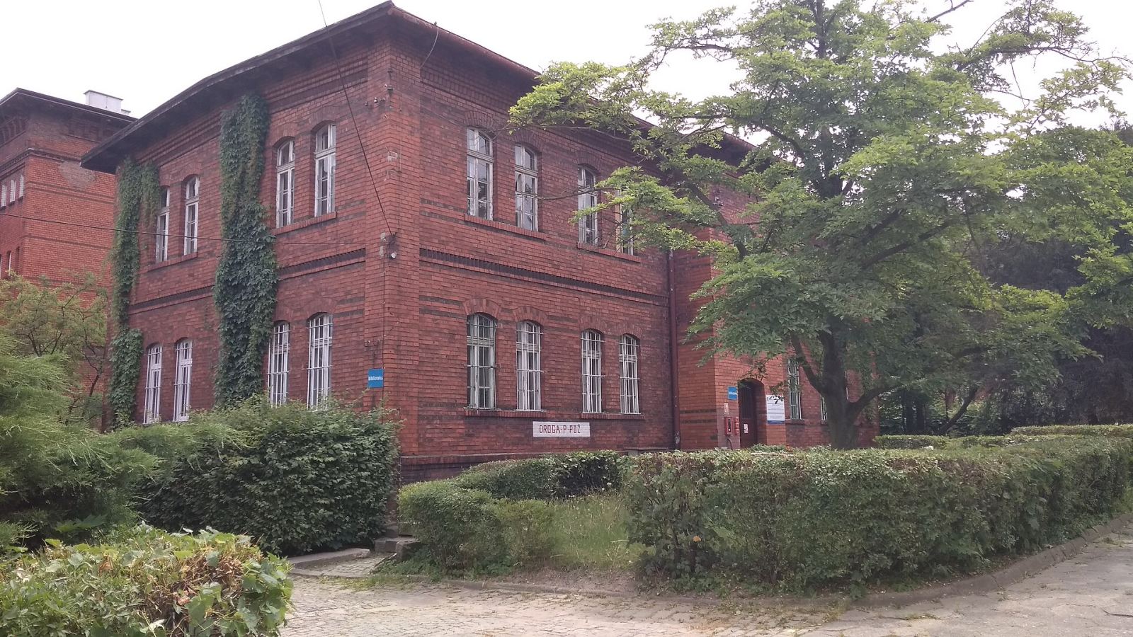 Biblioteka, Rybnik