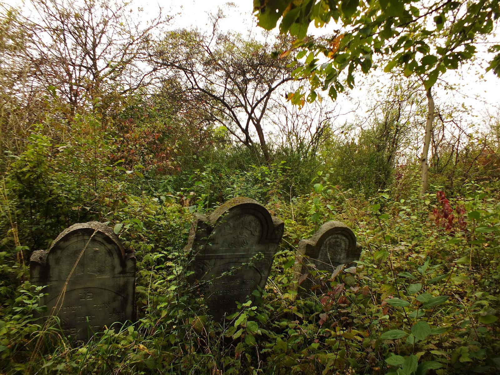 Cmentarz żydowski, Małogoszcz