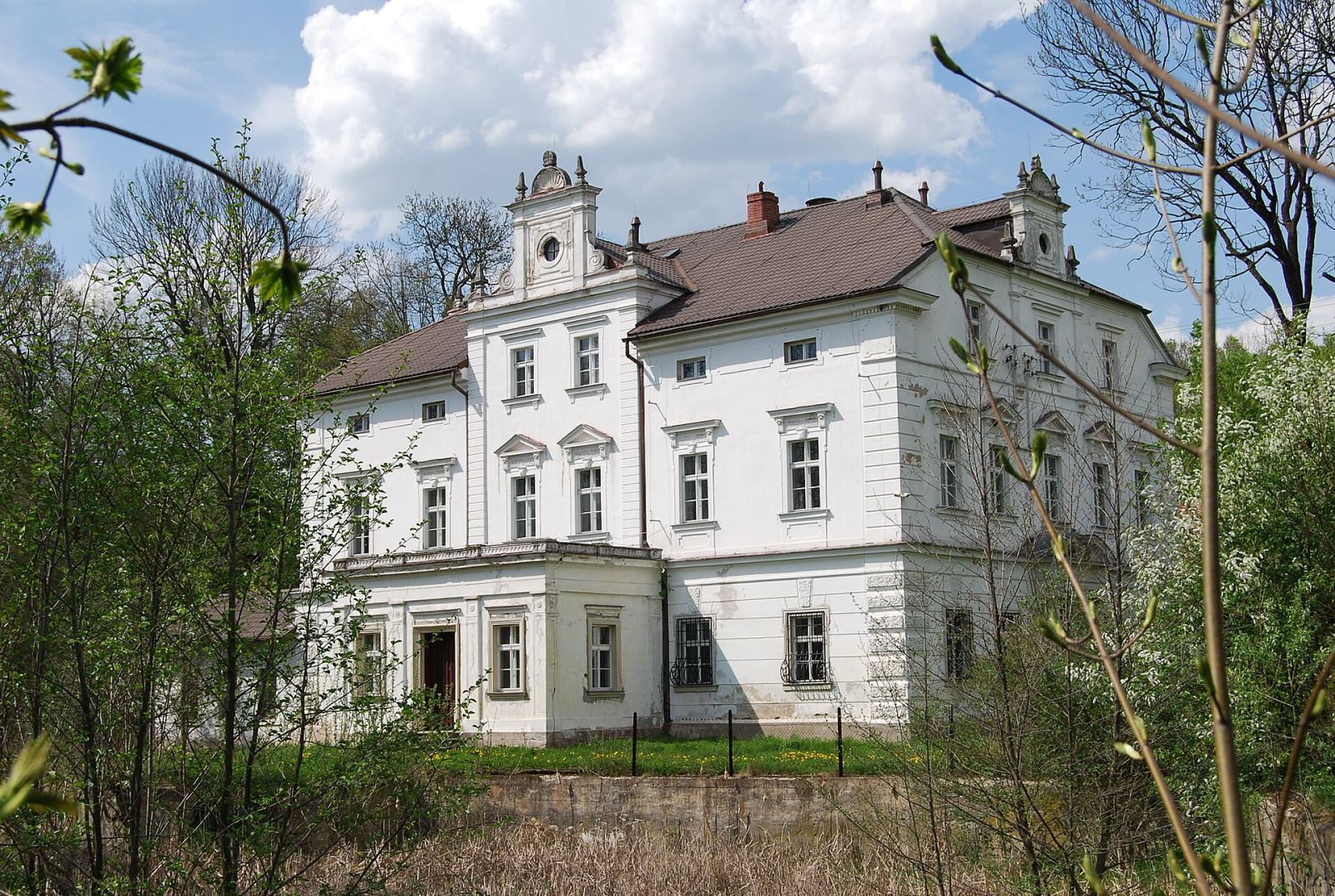 Dwór, Przeździedza
