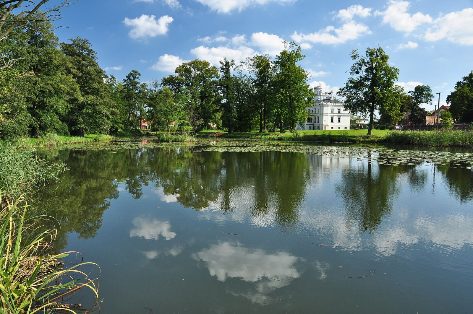 Park, Mrozów