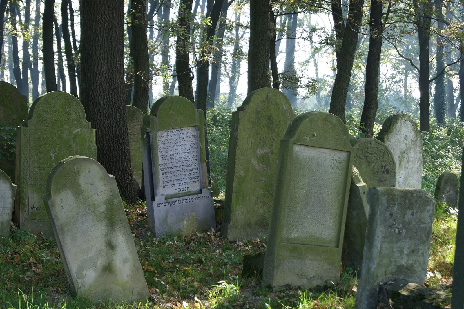 Cmentarz żydowski, Brzesko