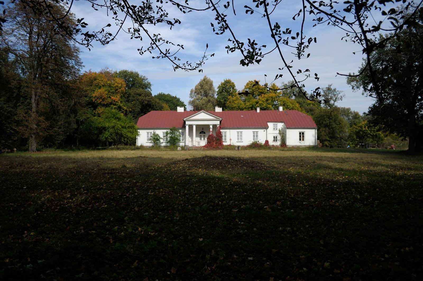Dwór, Rytomoczydła
