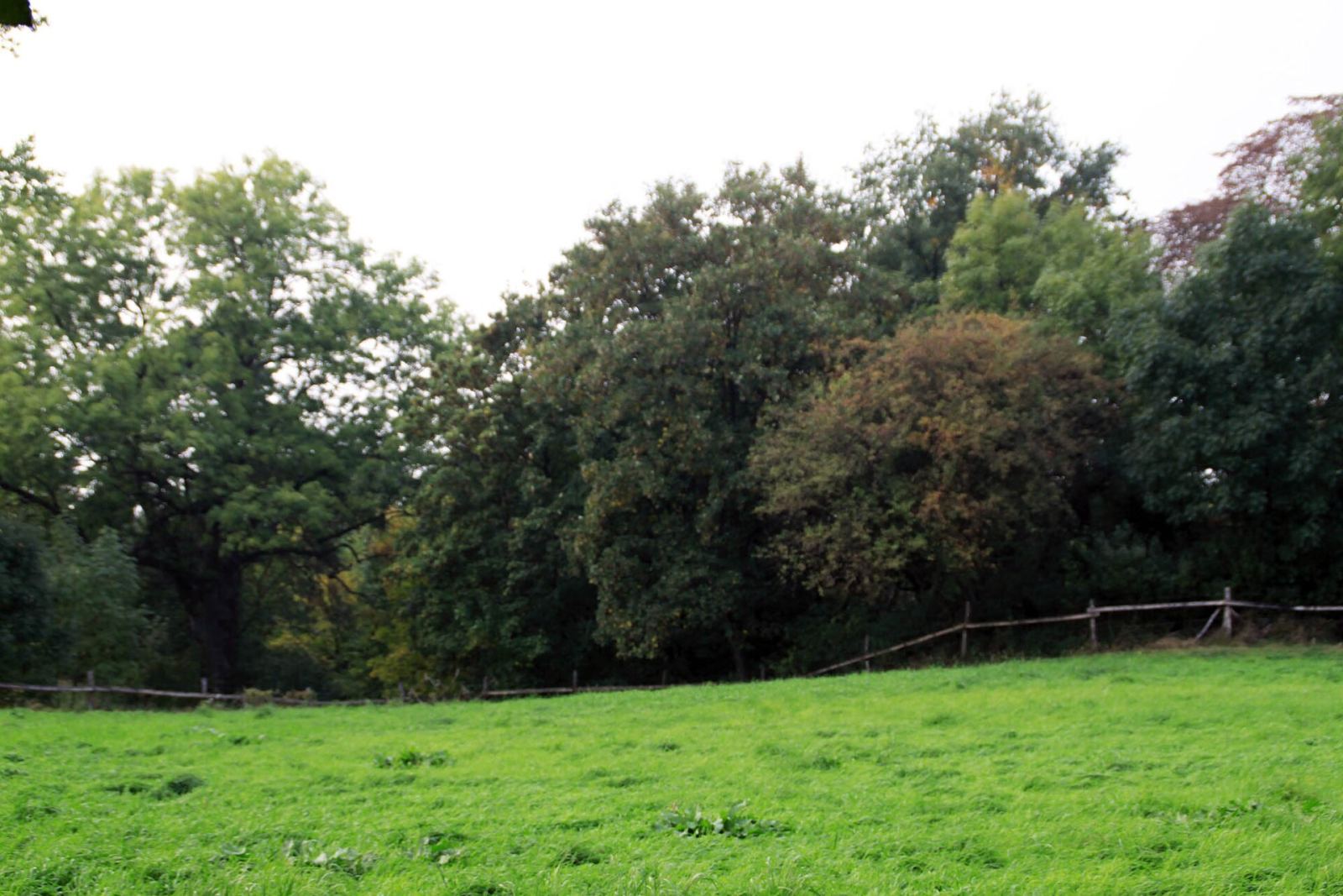 Park, Lubiatówko