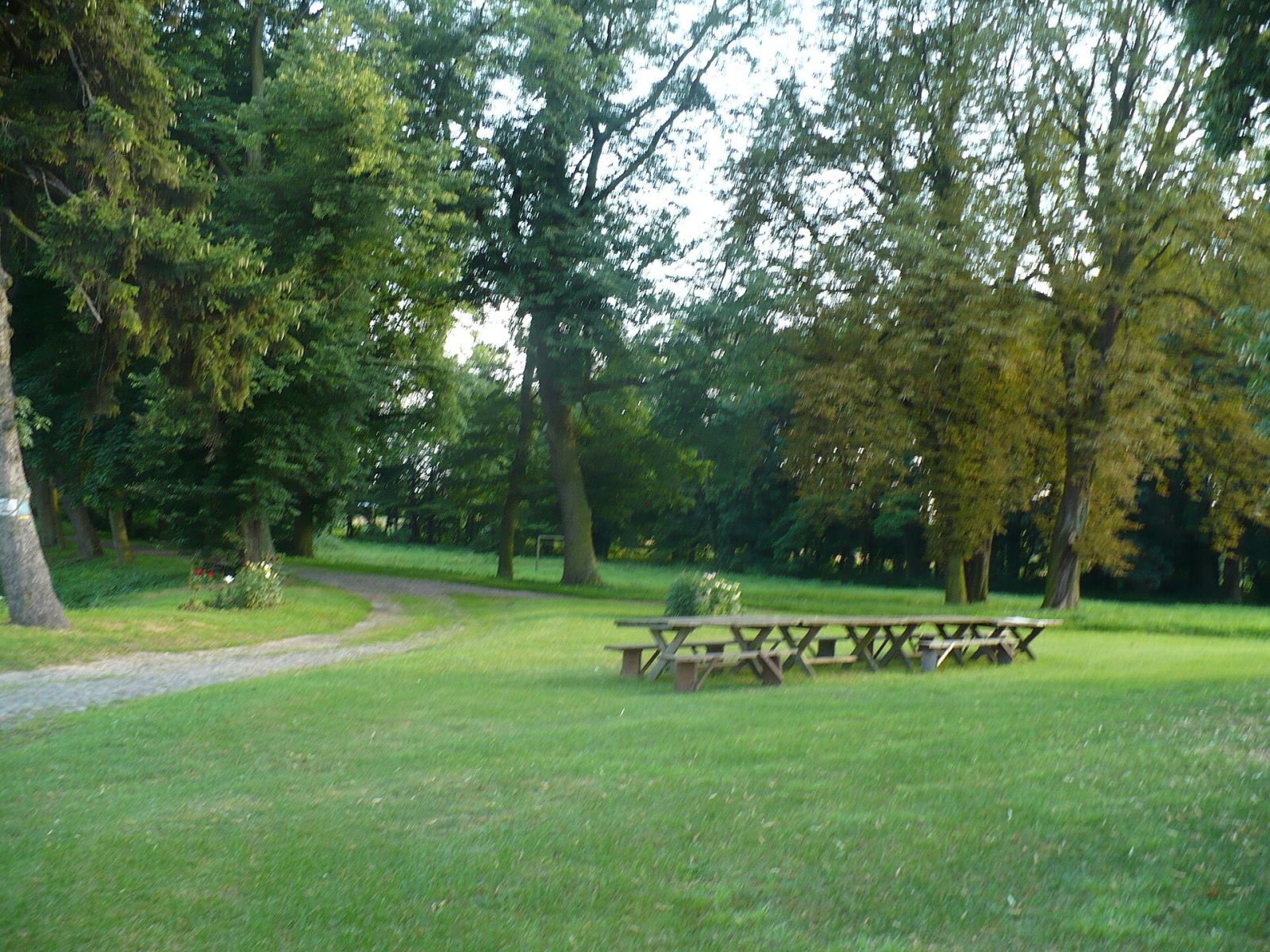 Park, Mikuszewo
