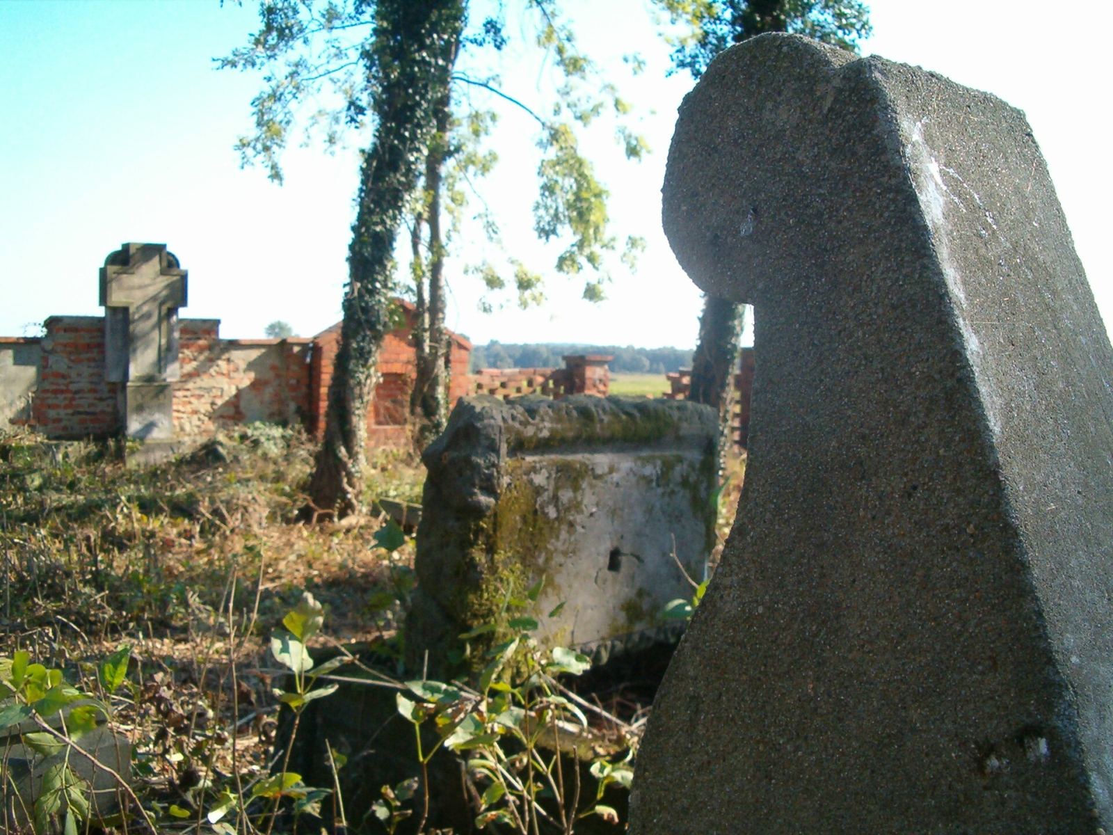 Cmentarz, Moczydlnica Dworska