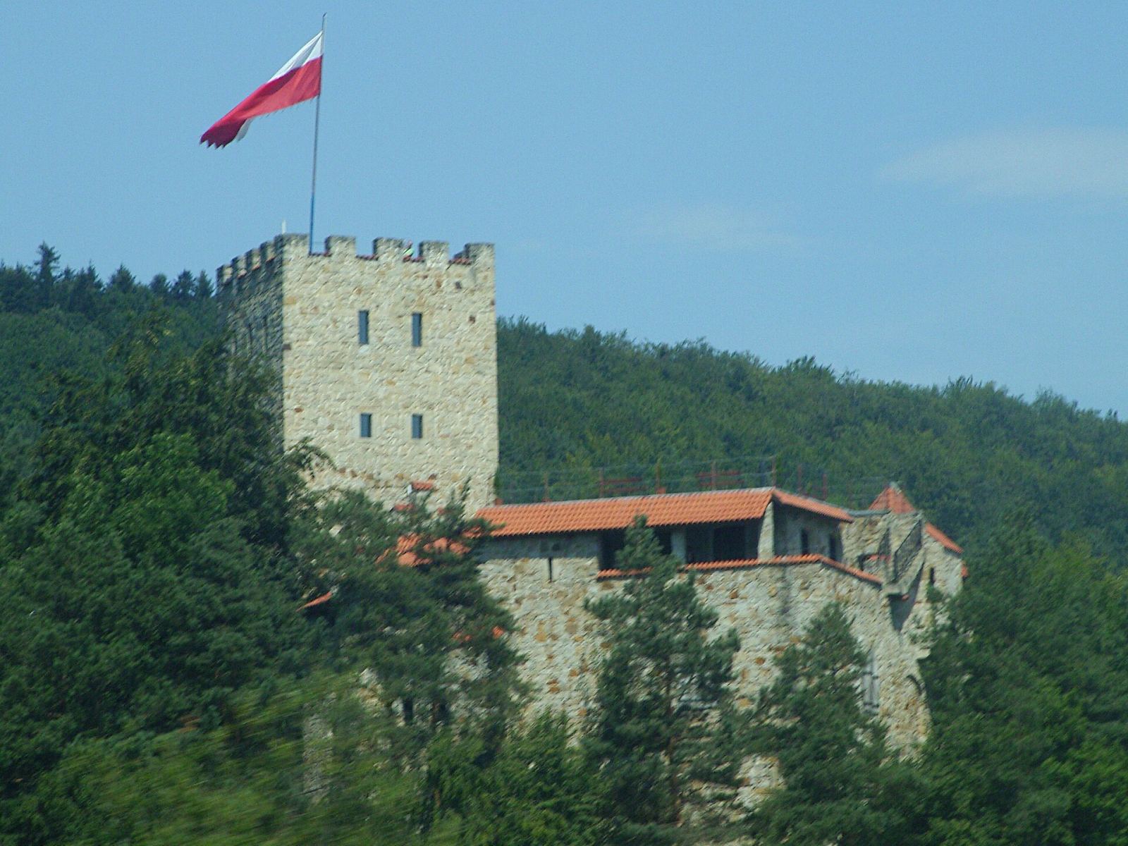 Ruiny Zamku Tropszyn, Wytrzyszczka