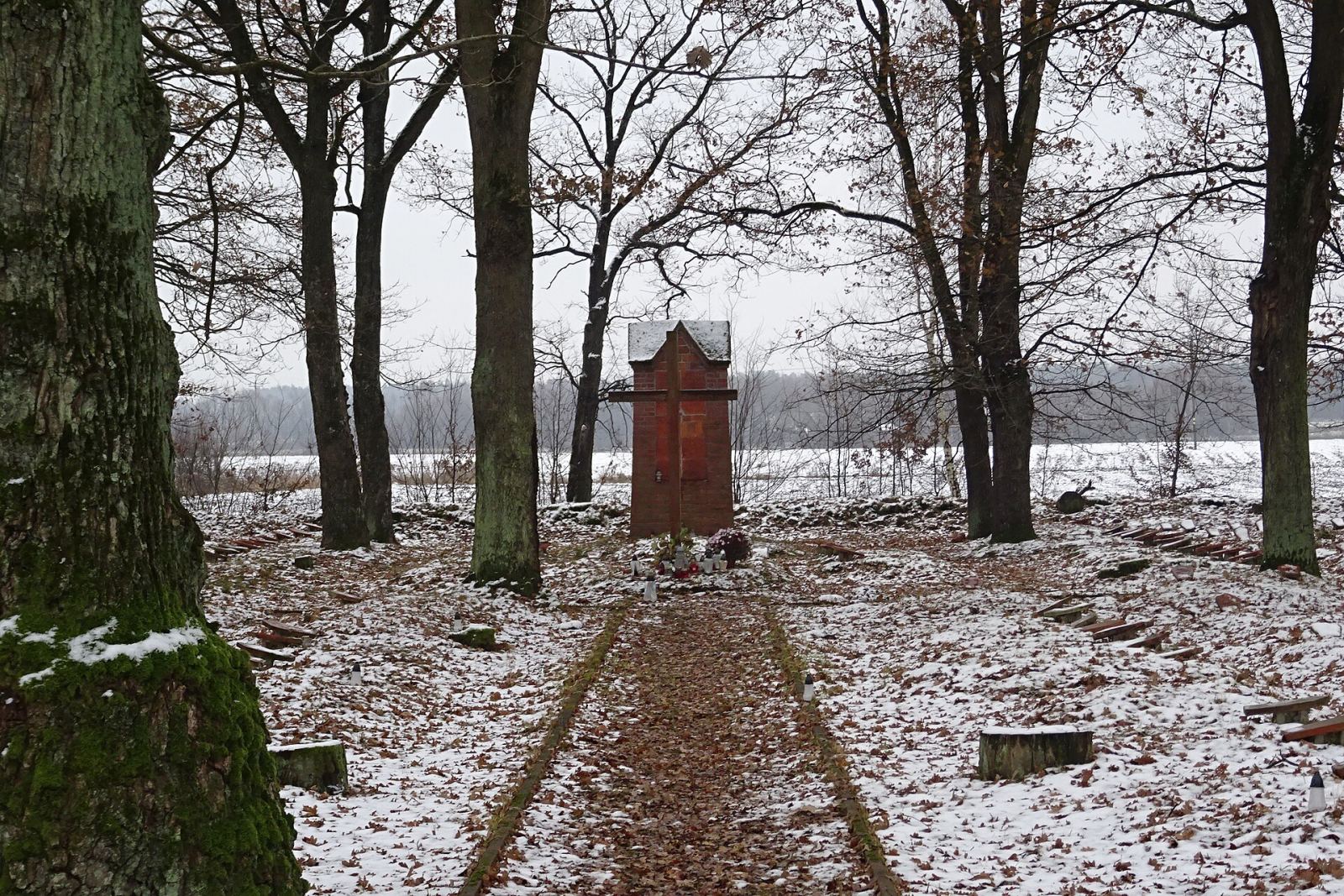 Cmentarz wojenny z I wojny światowej, Ryszkowa Wola