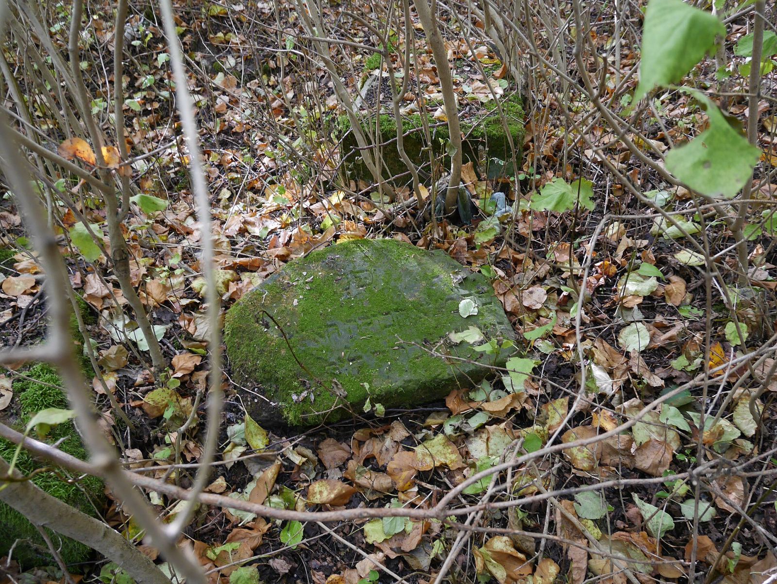 Cmentarz żydowski stary, Nidzica