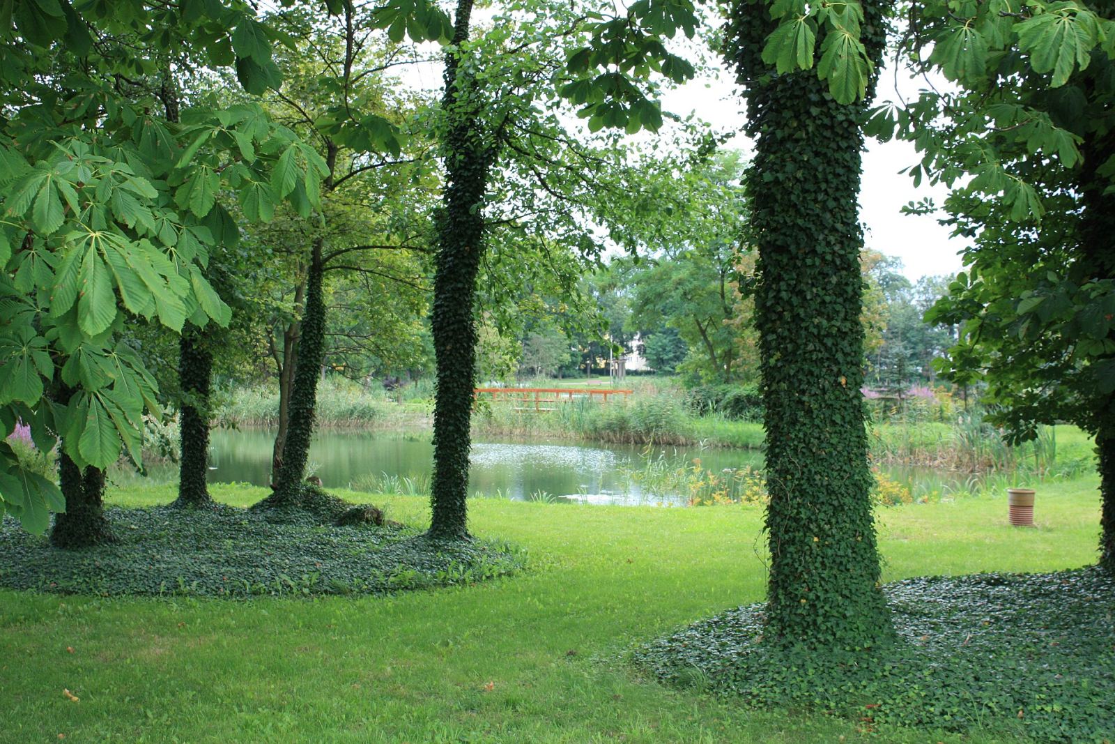 Park, Żydowo