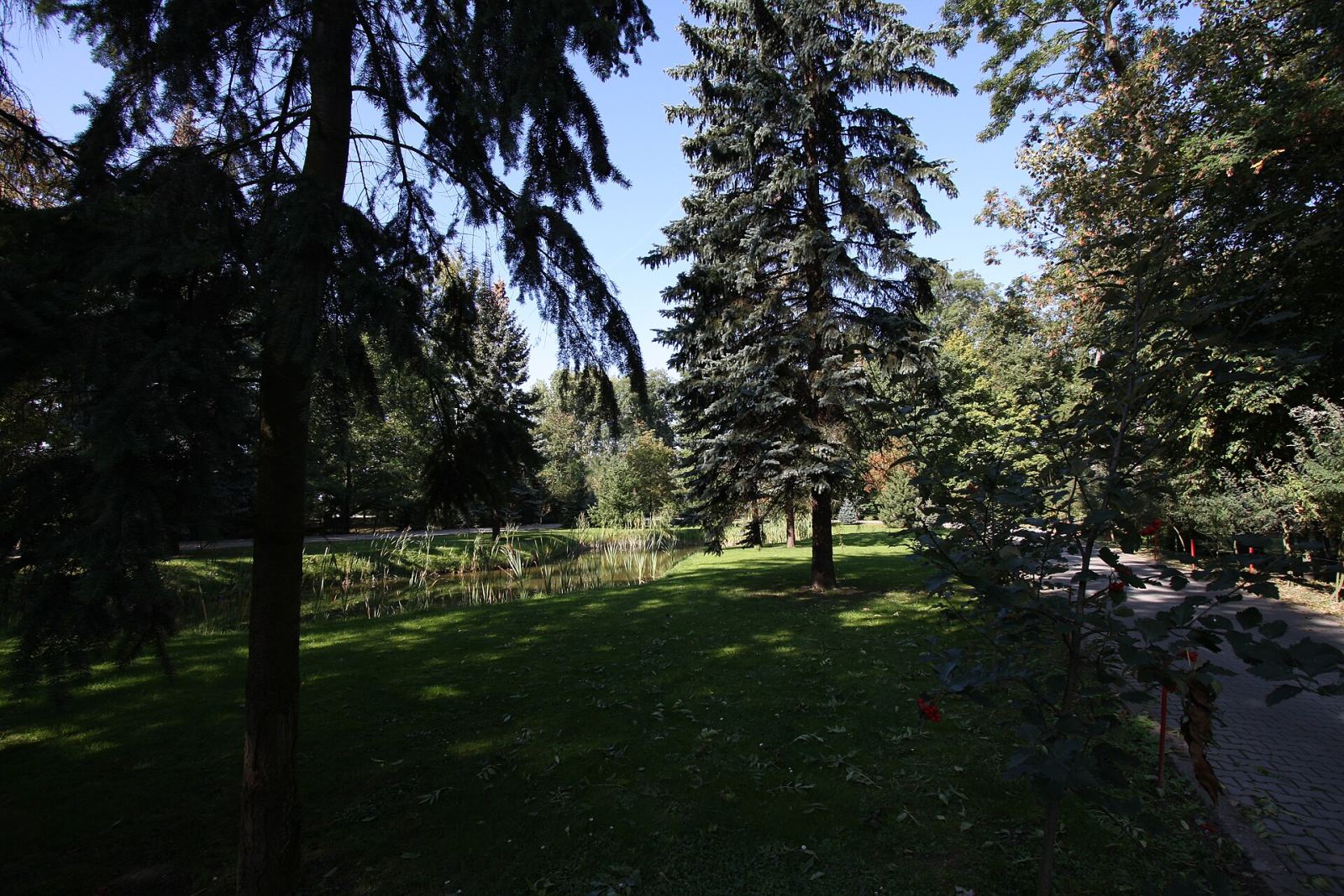 Park, Michorzewo