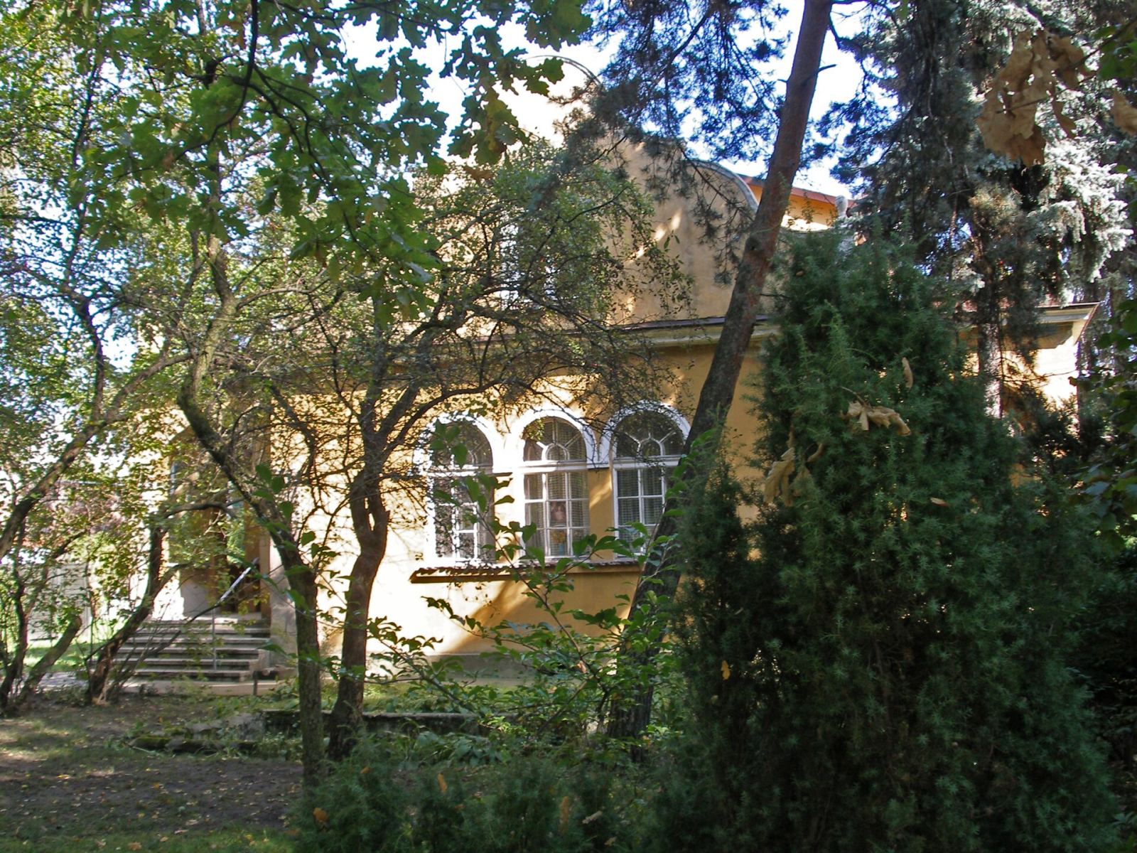 Willa, Kraków