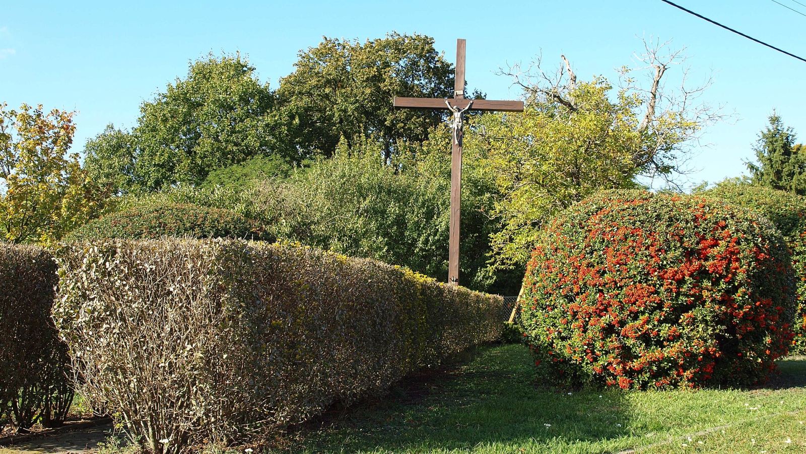 Park dworski, Rumianek
