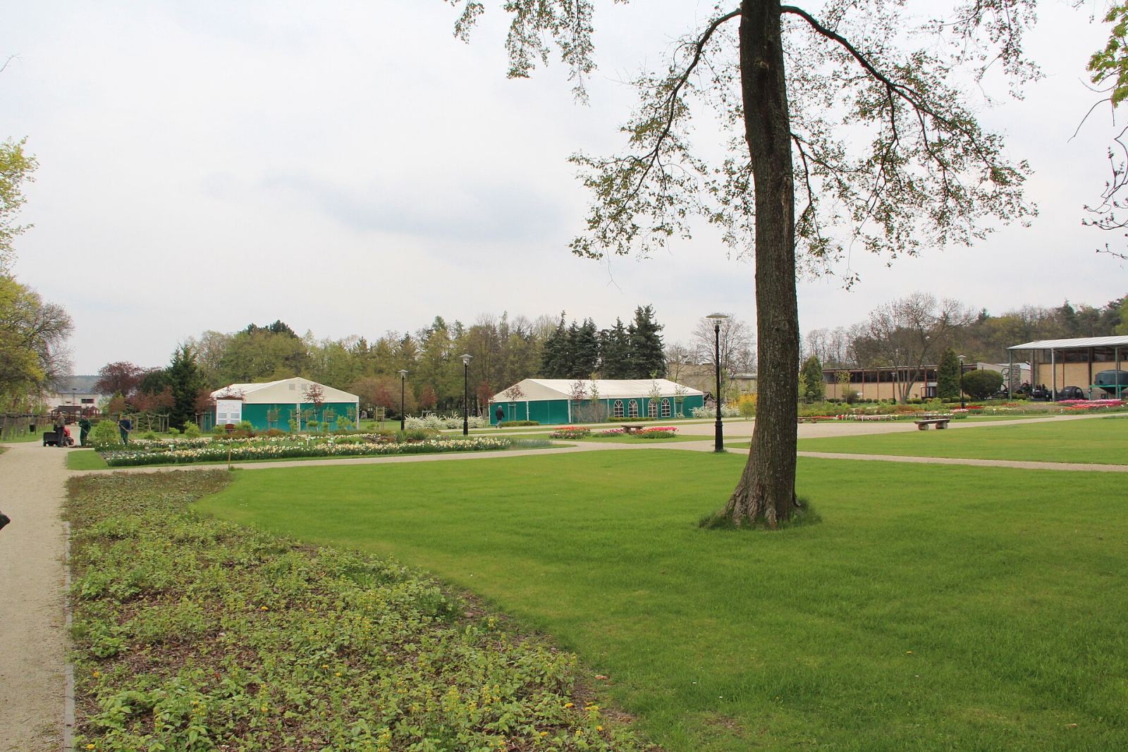 Park dworski, Szreniawa