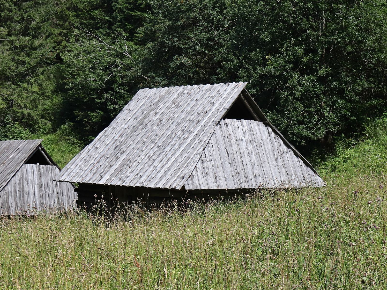 Szałas mieszkalno-inwentarski, Zakopane