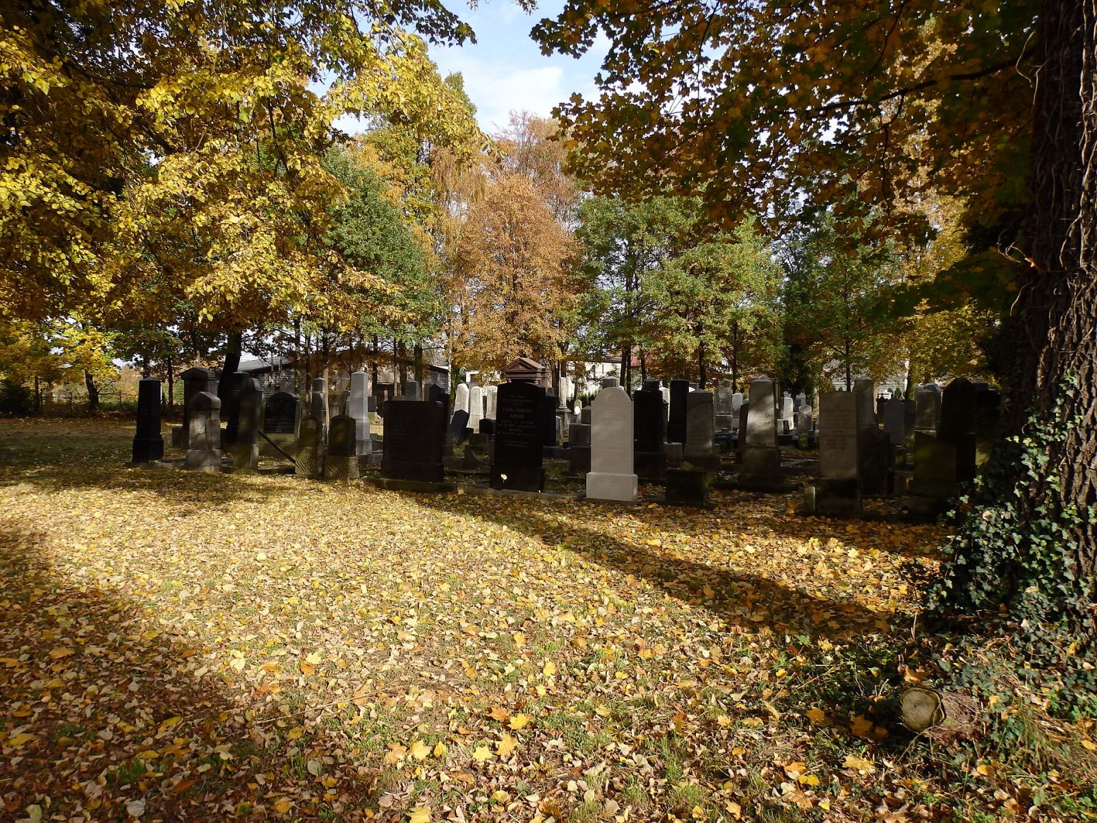 Cmentarz żydowski, Pszczyna