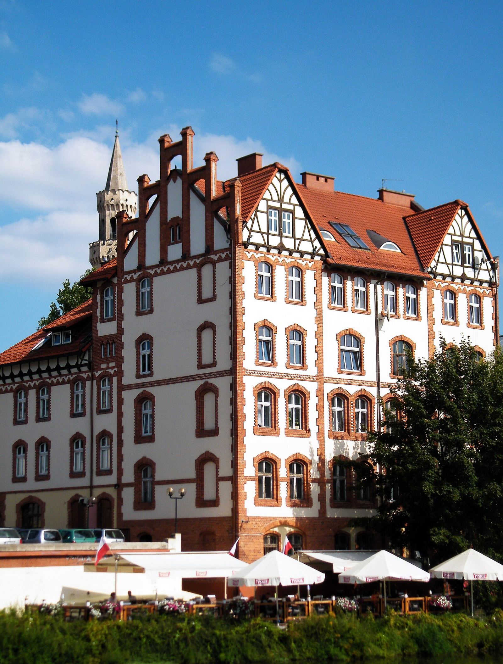 Dom, Opole
