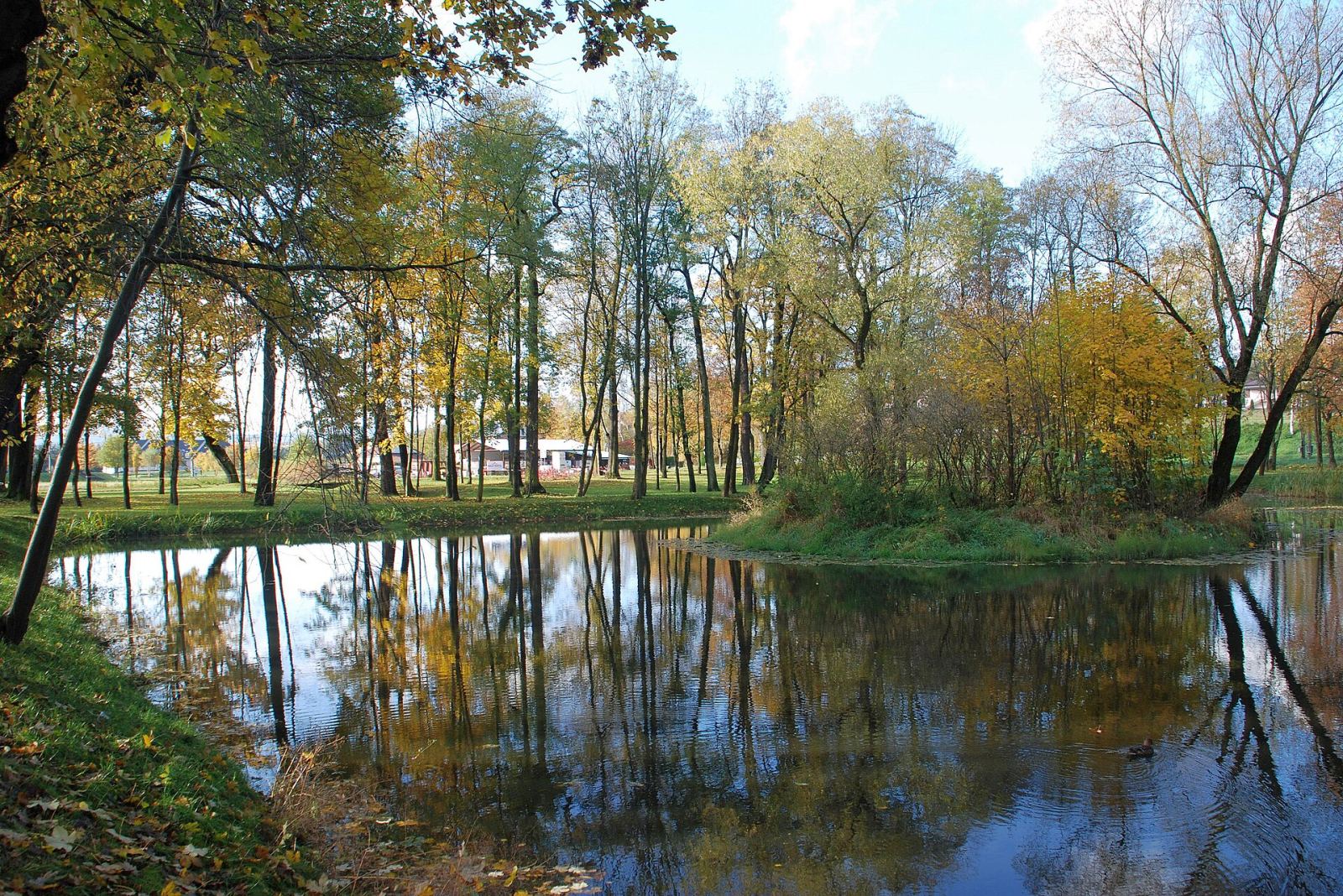 Park, Lipinki