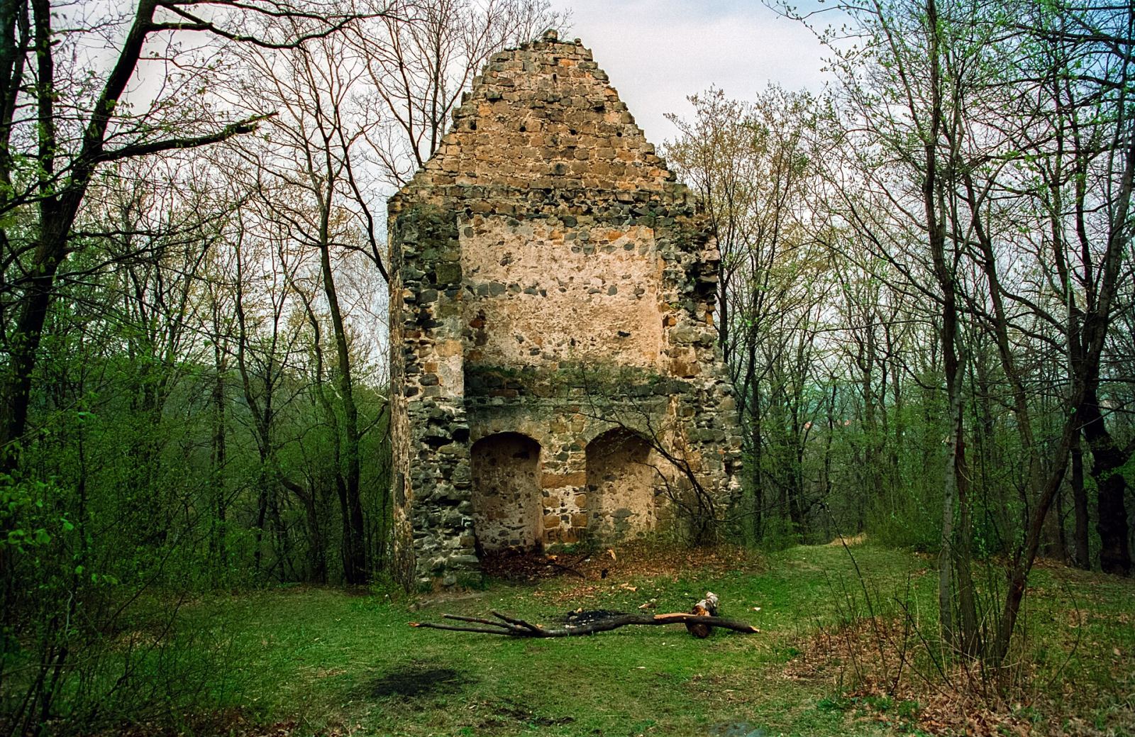 Ruiny zamku, Rokitnica