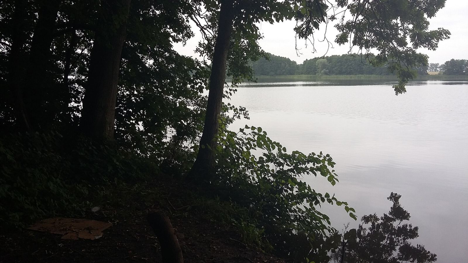 Park, Lubosina