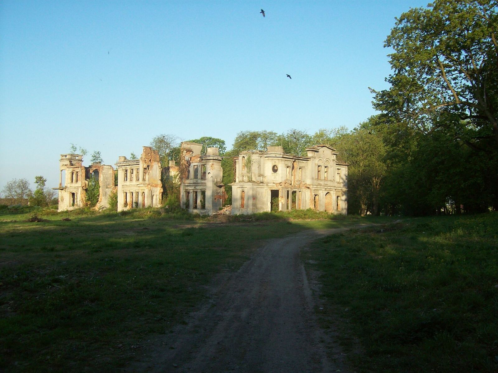 Ruina pałacu, Włostów