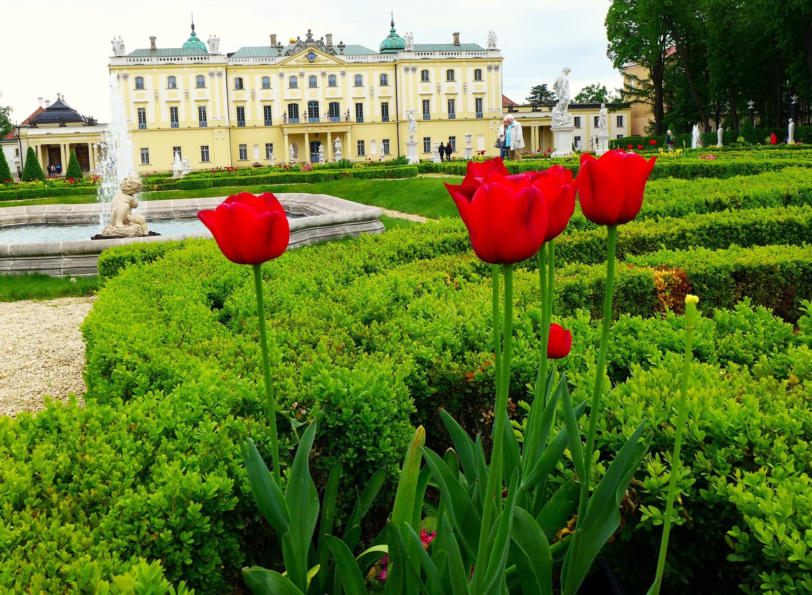 Park, Białystok