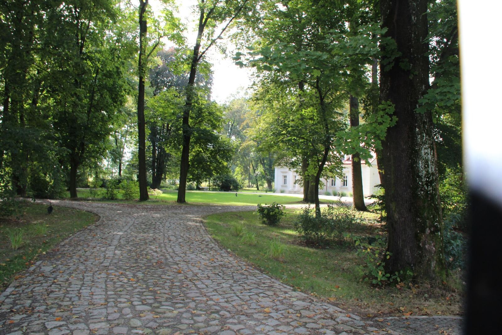 Park, Boduszyn