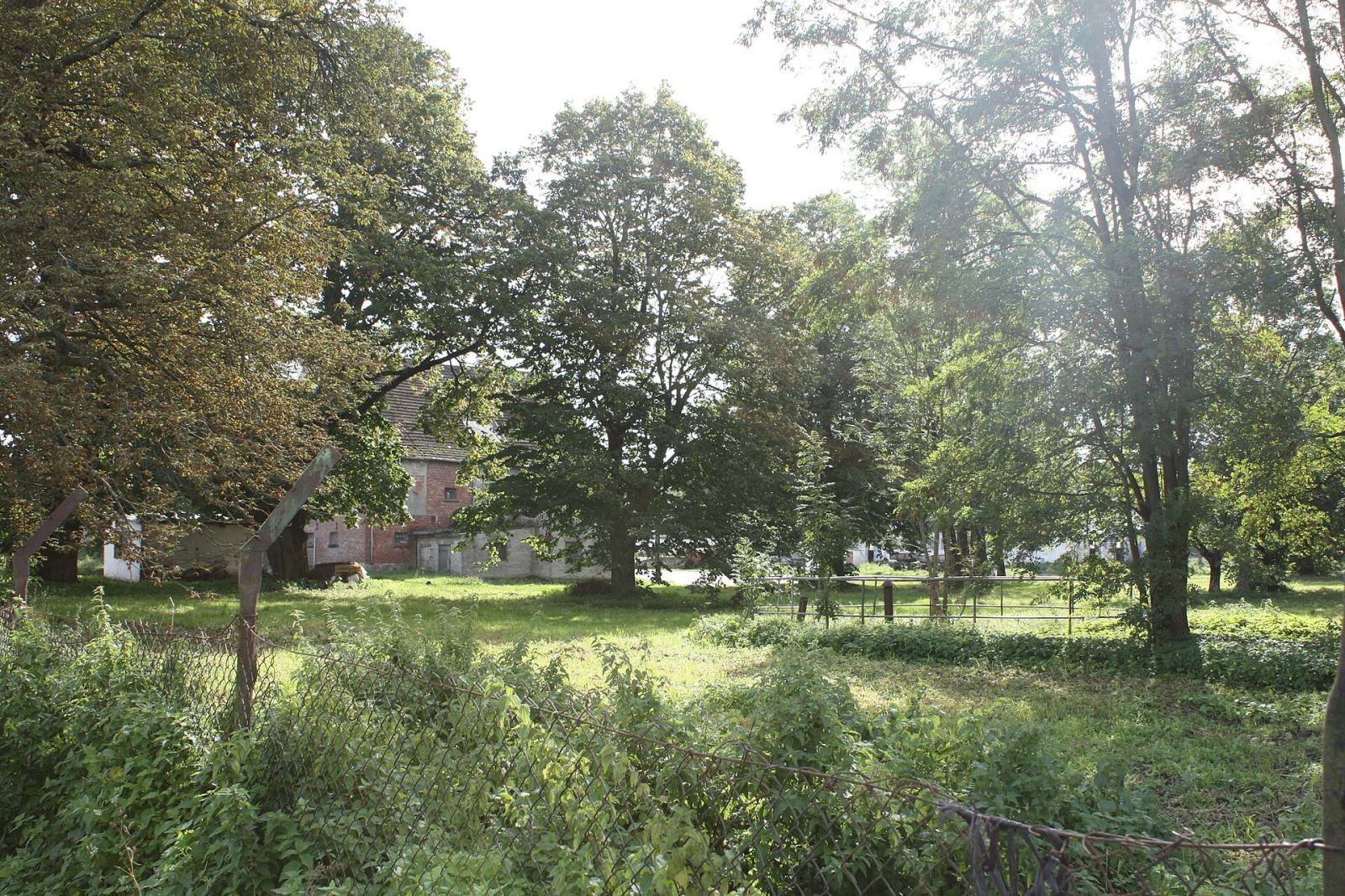 Park dworski, Mierzym