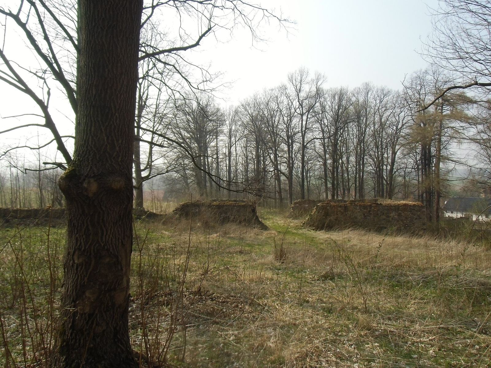 Park, Lipa