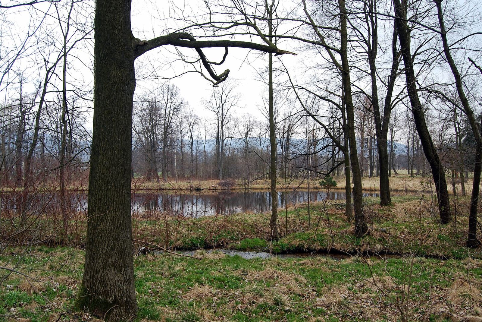 Park, Kowary