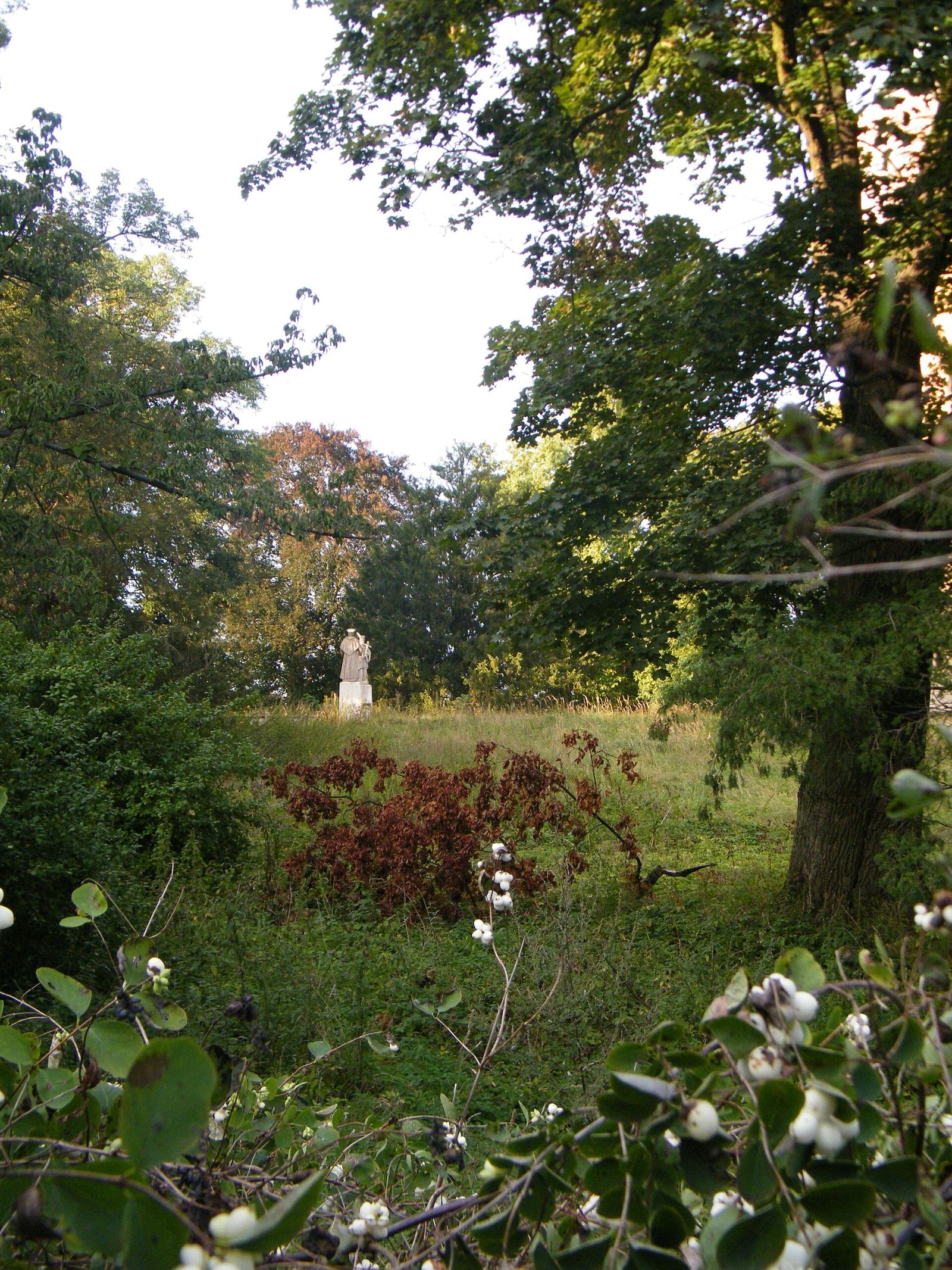 Park, Niemodlin