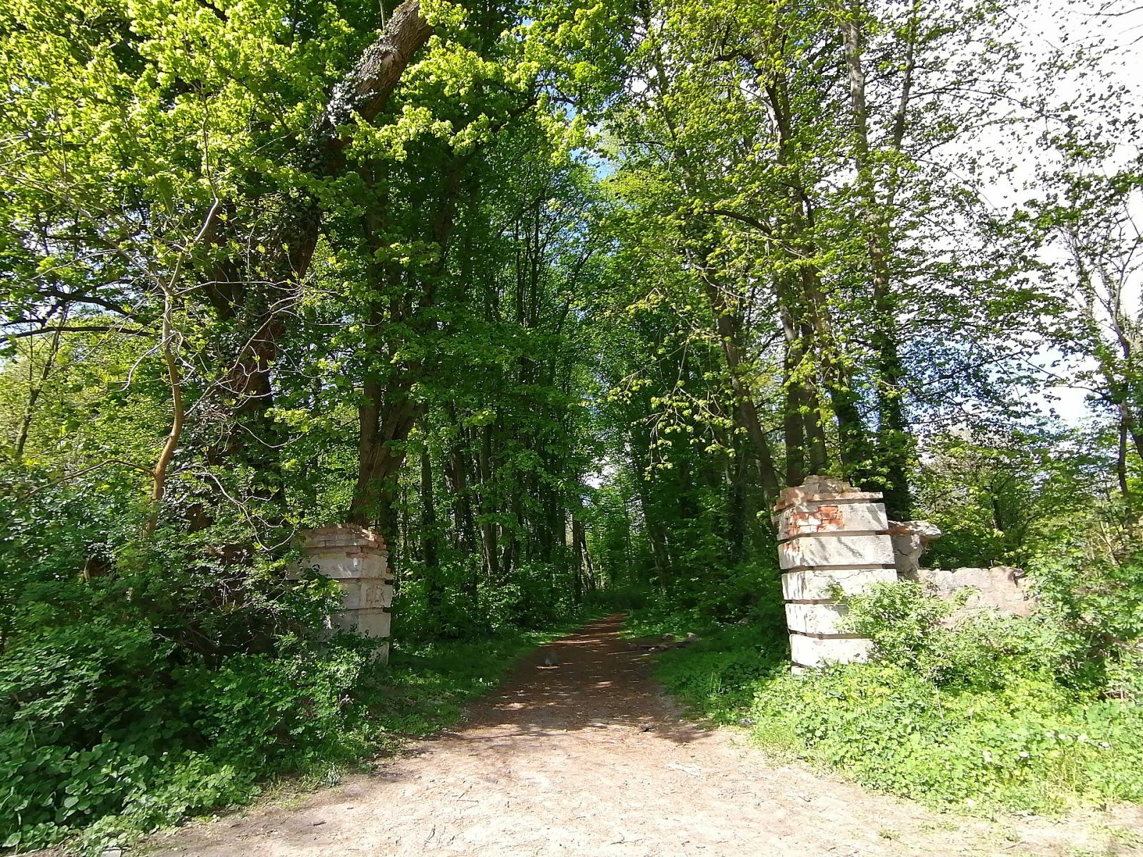 Park pałacowy, Bralęcin