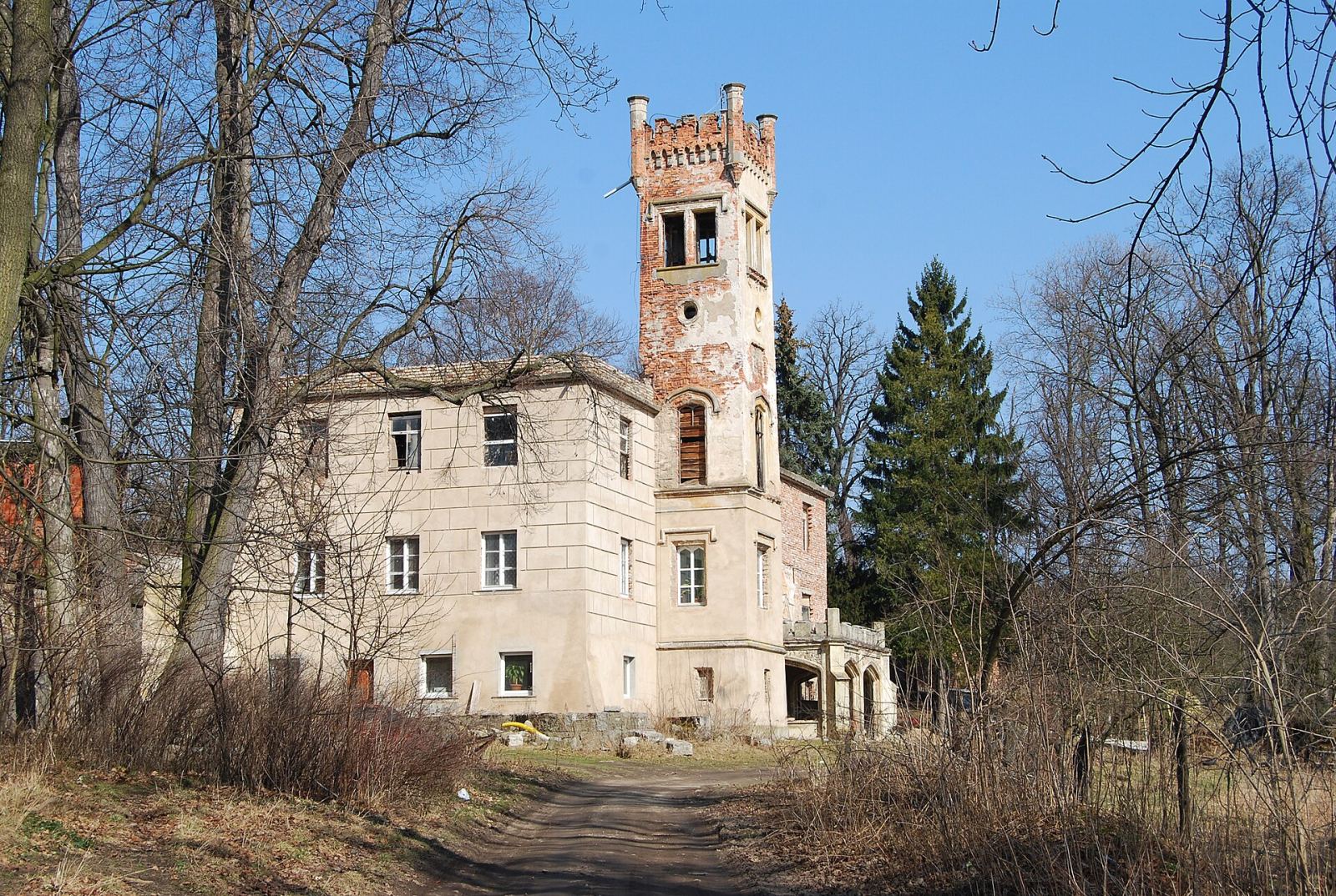 Pałac, Dąbrowica