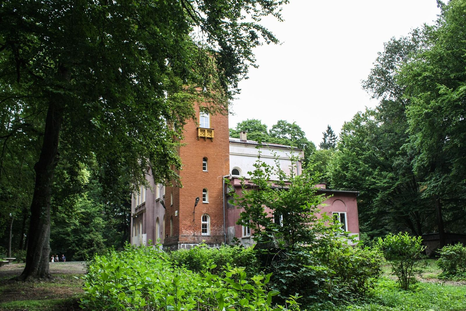 Park pałacowy, Suliszewo