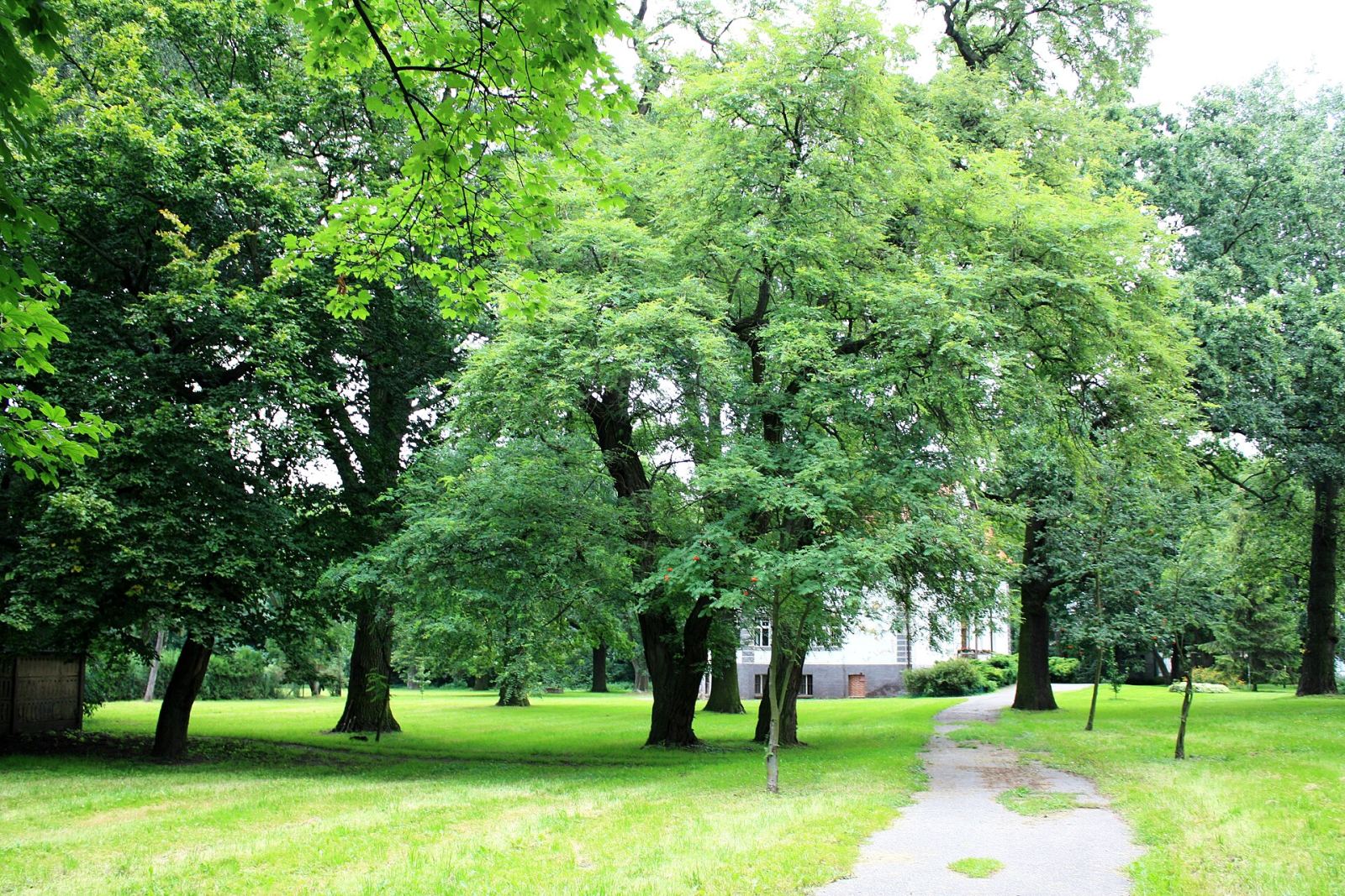 Park, Przybroda