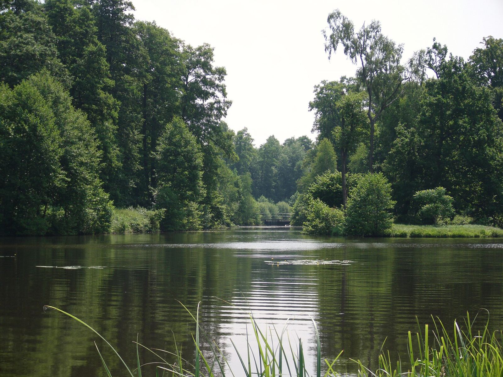 Park, Goszcz