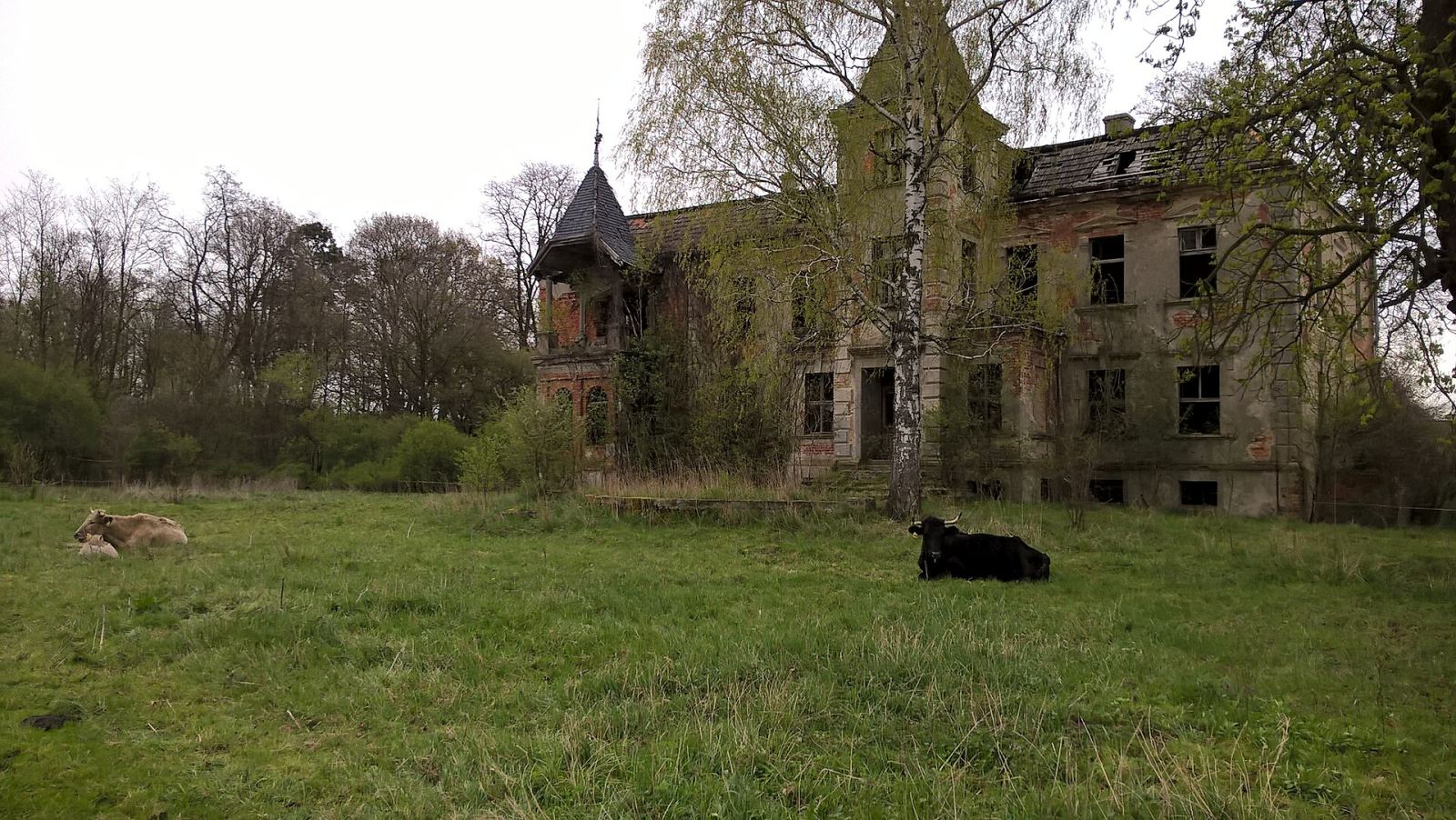 Pałac, Międzylesie