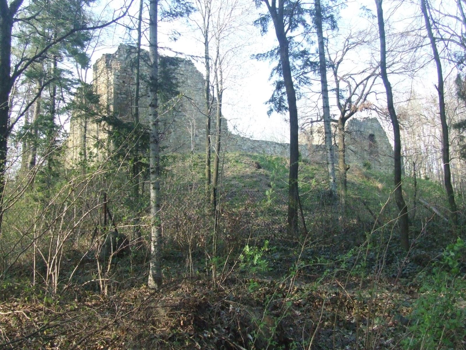 Ruiny zamku, Lanckorona