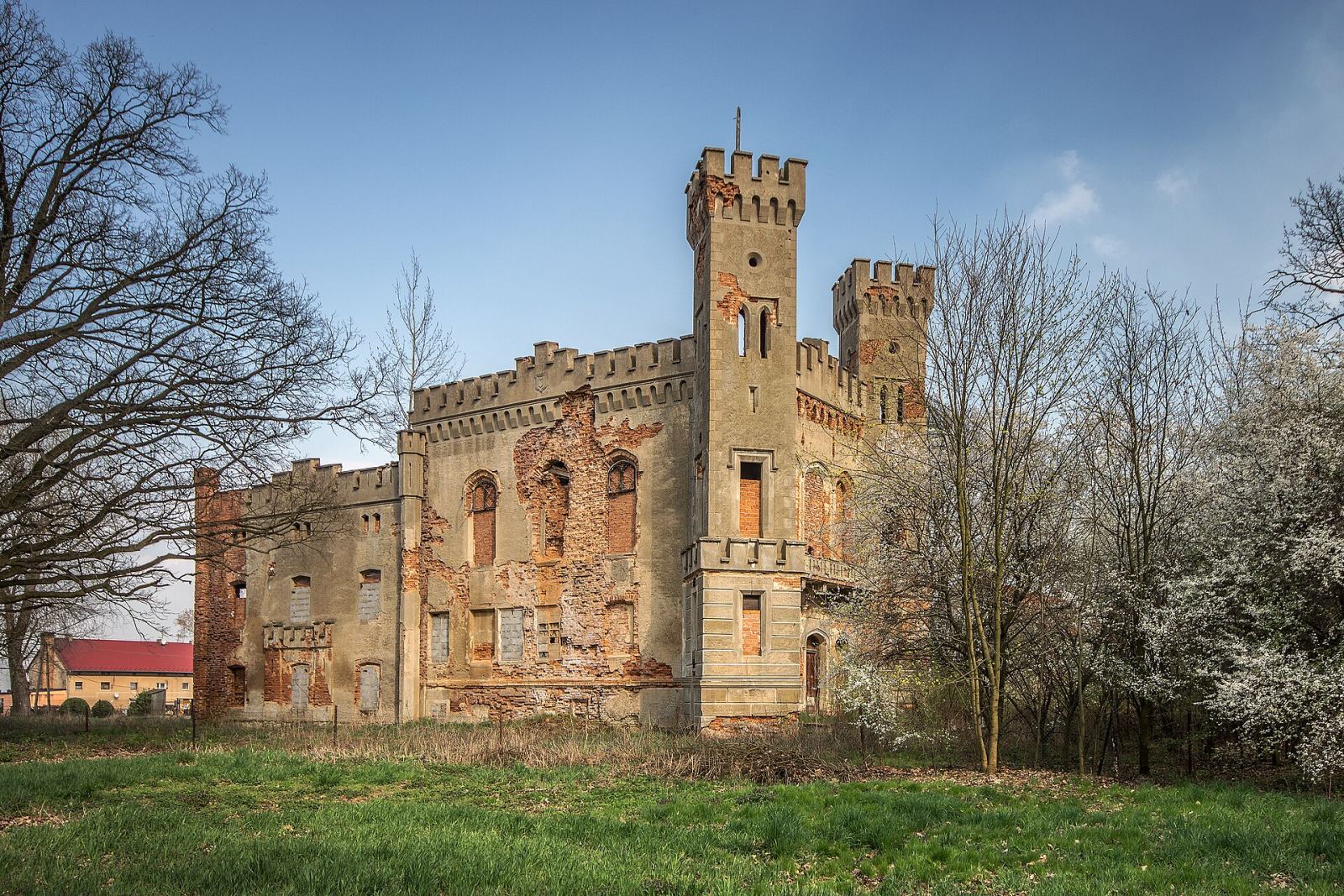 Pałac, Boguszyce