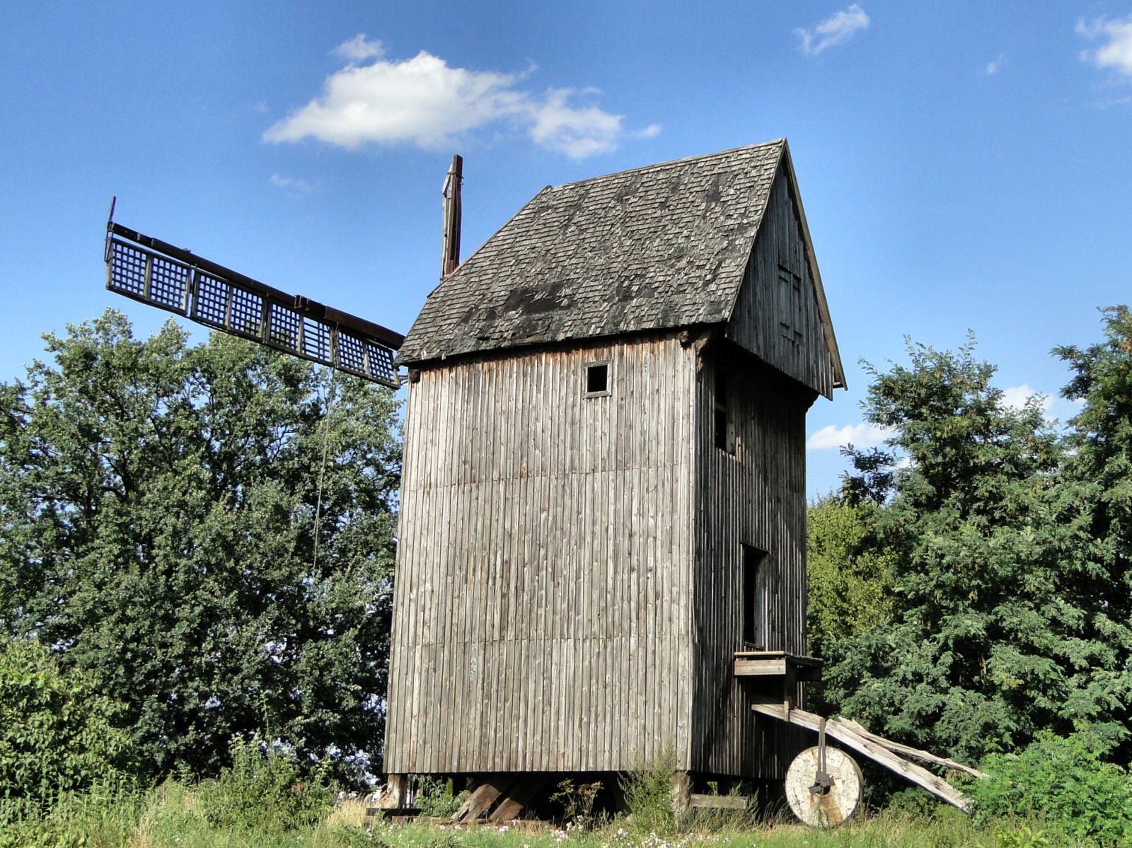Wiatrak koźlak, Mierzyn