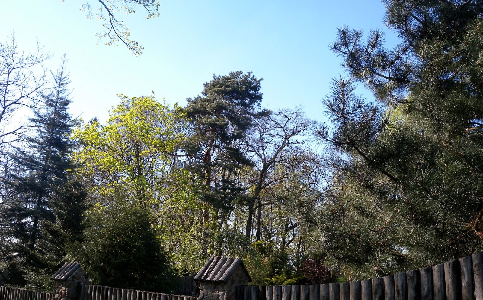 Park dworski, krajobrazowy, Górki Małe