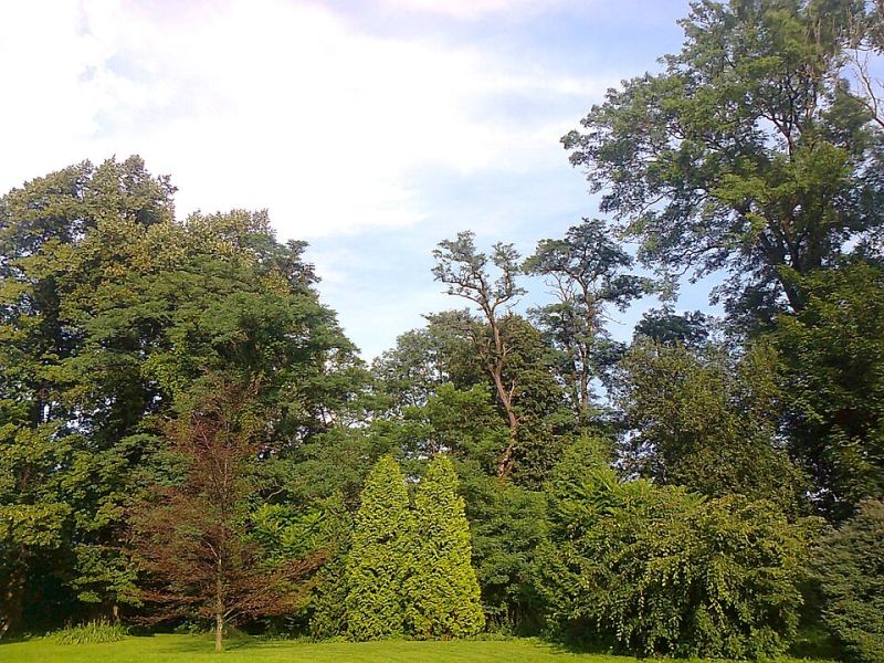 Ogród, Wysoka