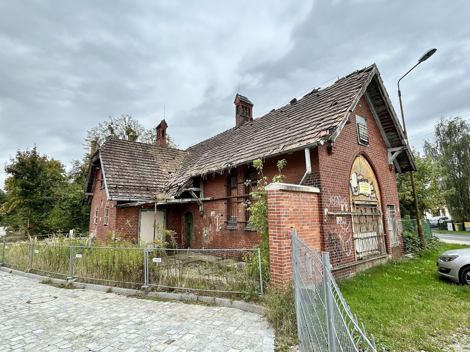 D. kostnica, Wrocław