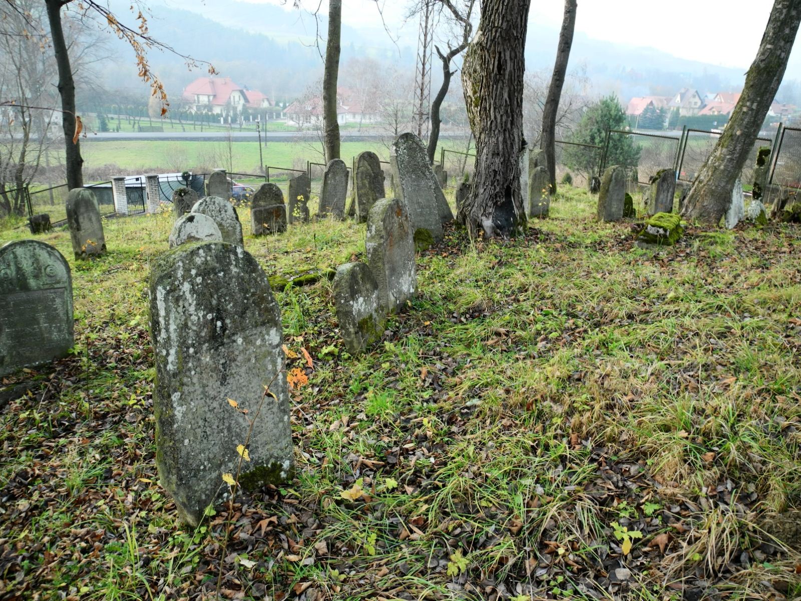 Cmentarz żydowski, Mszana Dolna
