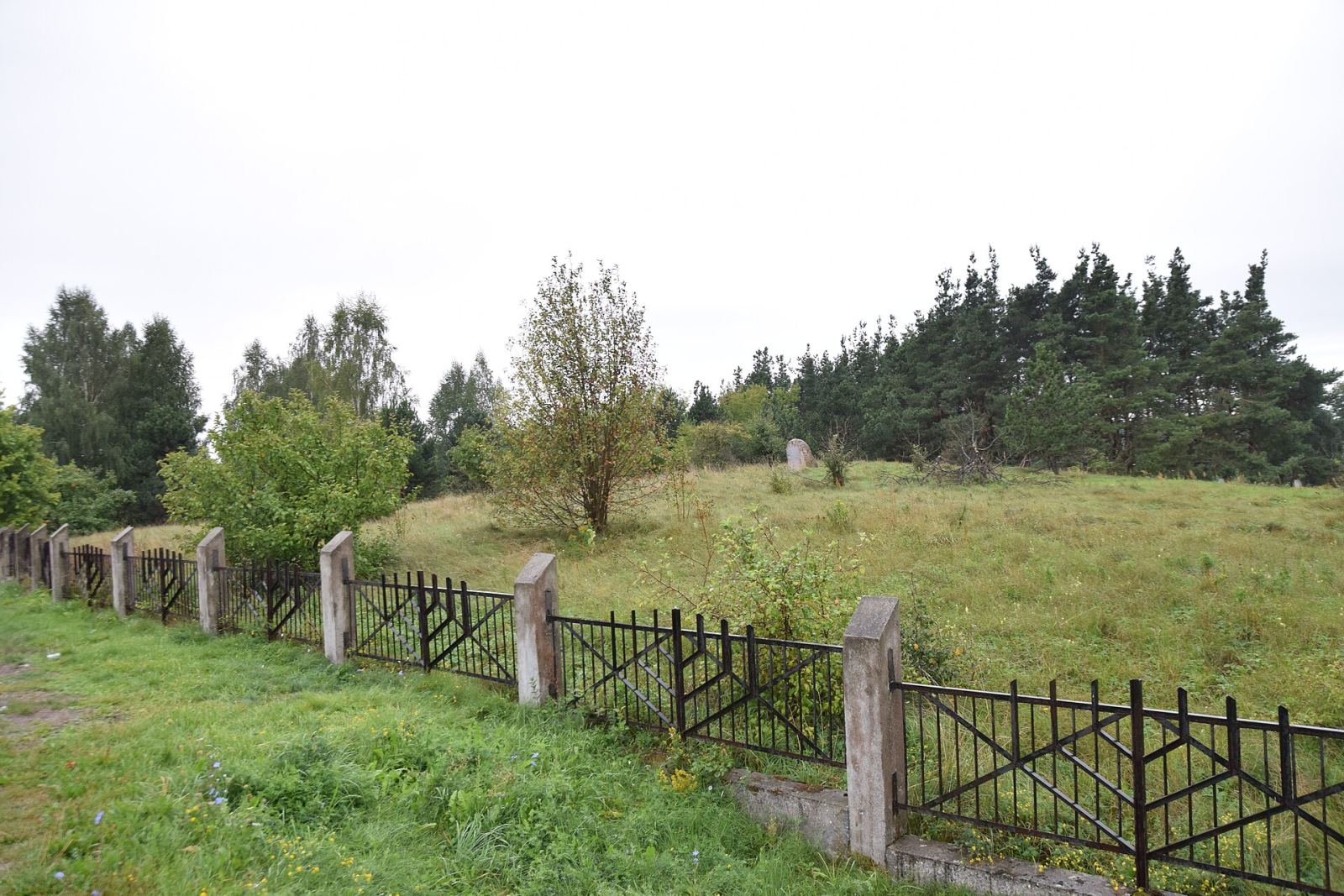Cmentarz żydowski, Kuźnica