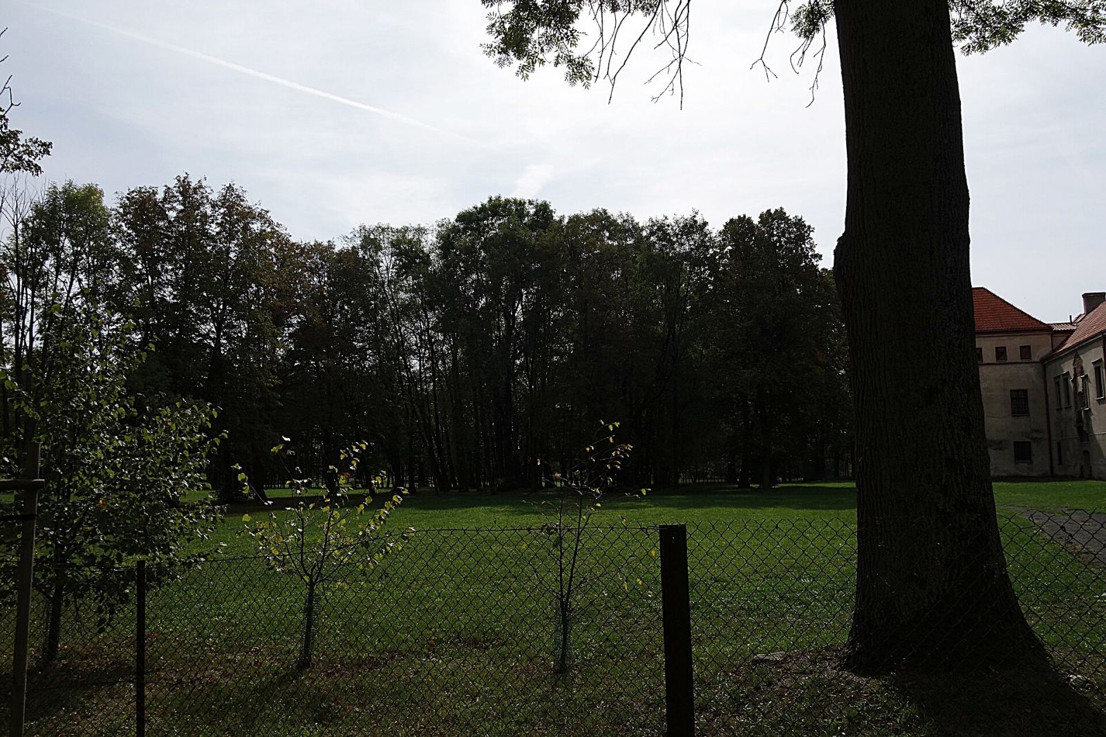 Park, Piotrków Trybunalski