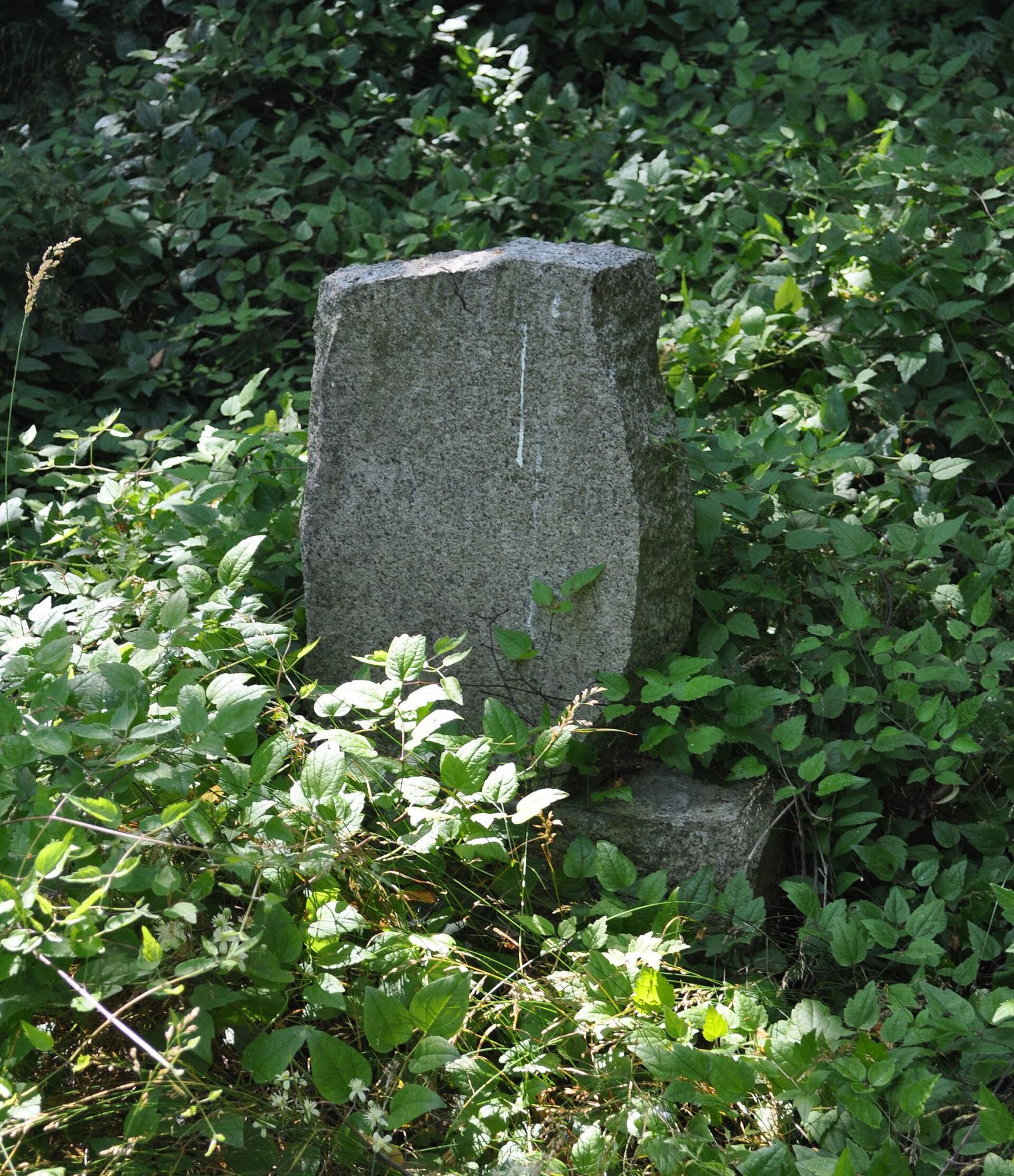 Cmentarz ewangelicki, Bolkowice