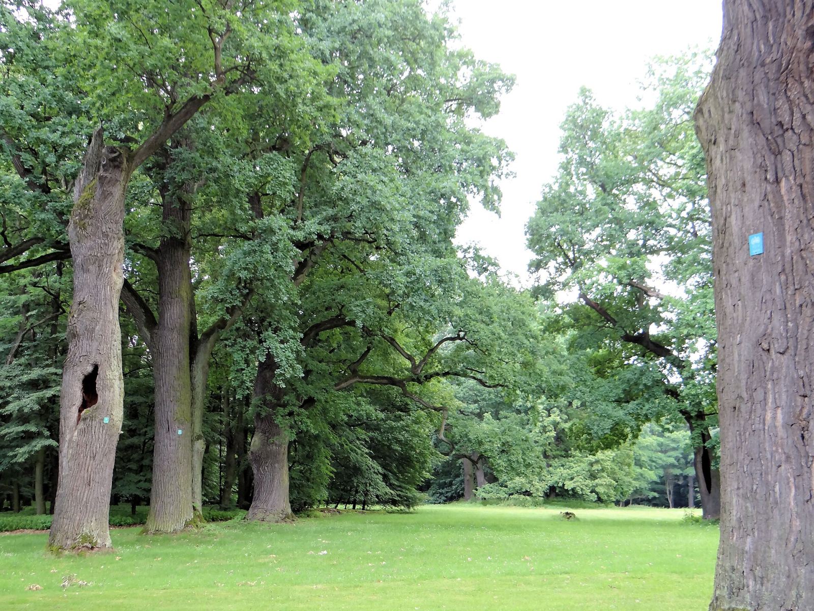 Park, Warszawa