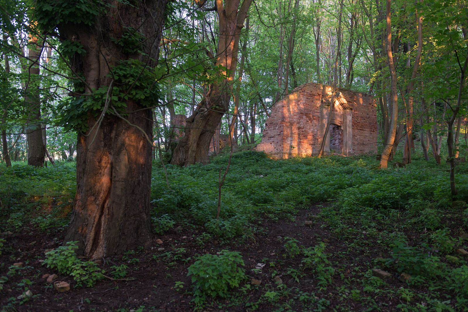 Park pałacowy, Raduń