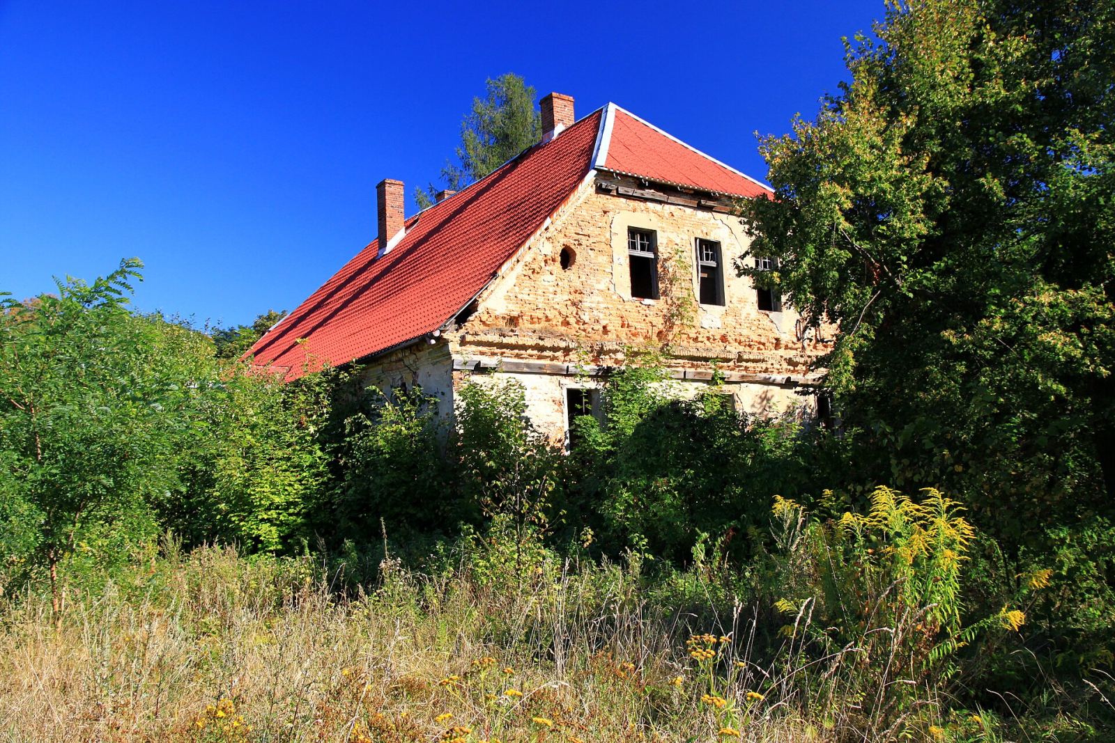 Dwór, Rudziczka