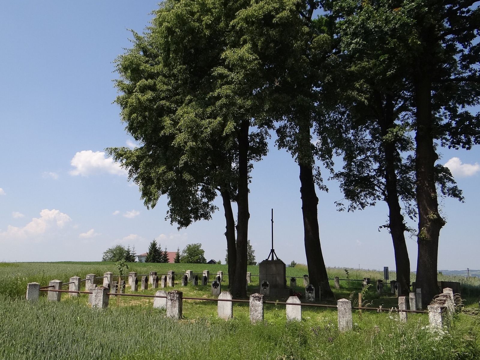 Cmentarz wojenny nr 165 z I wojny światowej, Bistuszowa